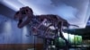 World-Famous T.Rex Sue Gets New Lair in Chicago
