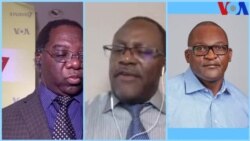 Livetalk: On Diaspora Forum we are discussing COVID-19 and other issues