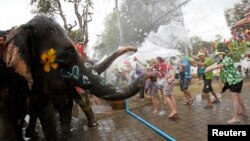 Gajah menyemprot air pada turis dalam perayaan festival air Songkran di provinsi Ayuthaya, Thailand. (Foto: Dok)