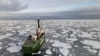 報導：美中俄等國計劃就北冰洋捕魚問題開展聯合研究
