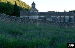 FILE - A field of lavender is pictured in front of the abbey Notre Dame de Senanque, southern France, June 19, 2016.