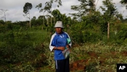 Bolivia permite a cada familia sembrar un "cato" de coca, que equivale a unas 20.000 hectáreas. Soldados y agentes antidrogas destruyen lo que pasa de ese límite.