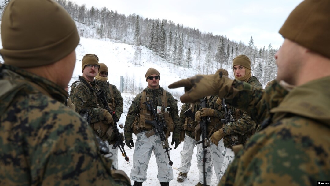 Морские пехотинцы США на совместных учениях "Reindeer 2" с норвежскими ВС. Сетермоен, Норвегия, 29 октября, 2019. 