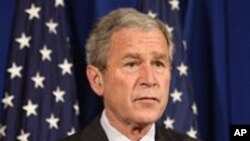 Bush on Africa's Potential