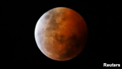 A total lunar eclipse, also known as a "blood moon," is pictured from Gosford, north of Sydney, Oct. 8, 2014. 