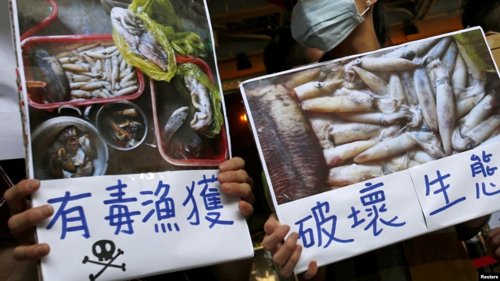 Người biểu tình kêu gọp tập đoàn Formosa điều tra và tự nguyện công bố kết luận của riêng mình về vụ cá chết hàng loạt ở Việt Nam, tại Đài Bắc, Đài Loan, ngày 17 tháng 6, 2016.
