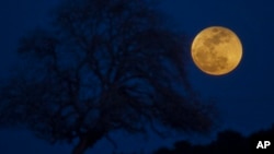 In this file image, a super blue blood moon rises over Michmoret, Israel, Jan. 31, 2018. 