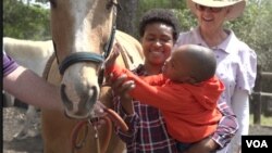 The Healing with Horses Therapeutic Centre in Harare is supported by donations from companies and individuals dedicated to helping children and communities heal. Nov. 21, 2019. (Columbus Mavhunga/VOA)