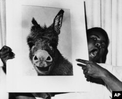 Muhammad Ali holds a picture, saying it bears resemblance to then heavyweight boxing champion Sonny Liston at a party at the Las Vegas Press Club on July 19, 1963.