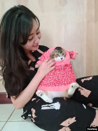 Bisnis Pakaian Kucing: Iseng-iseng Menguntungkan