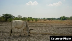 The Philippines is suffering from severe drought. A prototype drone cloud seeder is in the works. (Photo courtesy of WMO Louis Darrien II)