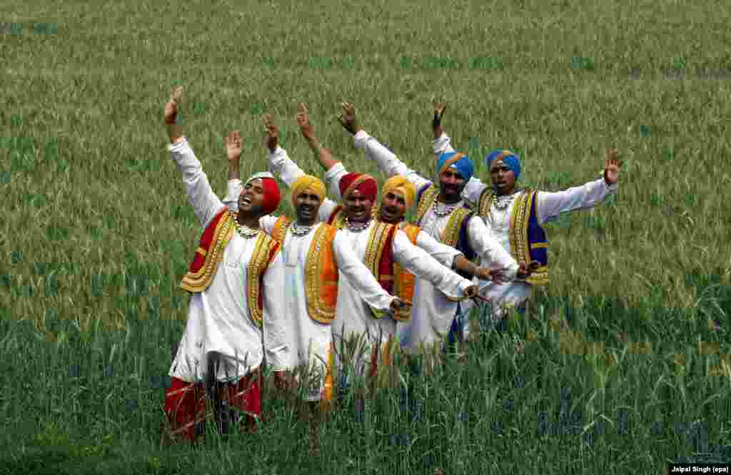 Indian artists perform a folk dance in a wheat field during the Baisakhi festival celebrations in Suchetgarh, about 25 km from Jammu, the winter capital of Kashmir.