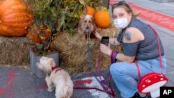 Photo by: John Nacion/STAR MAX/IPx 2020 10/19/20 A pet owner takes pictures of her dogs in front of Halloween decorations in Chelsea. New York City continues Phase 4 of re-opening following restrictions imposed to slow the spread of coronavirus on October