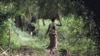 Congo Expels 2 Greenpeace Researchers Investigating Logging