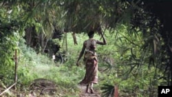 Une habitante d’un village riverain de la forêt dans la province Orientale porte sur la tête quelques produits de son travail, en RDC.