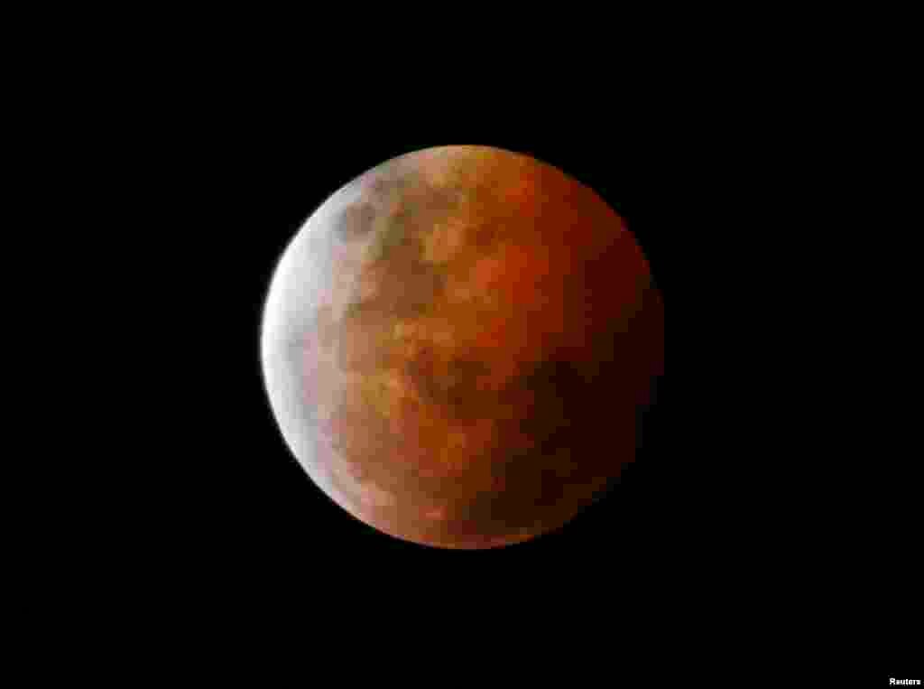 Gerhana bulan total yang juga dikenal sebagai bulan darah terlihat di Gosford, bagian utara Sydney (8/10). (Reuters/Jason Reed)