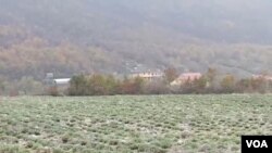 Shkodër, traditat e fermerëve