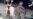 Space Station Debris Shield Floats Away During Spacewalk