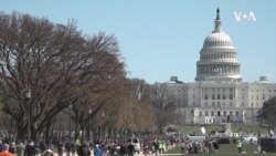 Voting USA Youth Interested in Healthcare, Student Debt And Social Justice