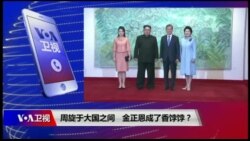 焦点对话：周旋于大国之间，金正恩成了香饽饽？