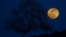 FILE - A super blue blood moon rises over Michmoret, Israel, Jan. 31, 2018. 
