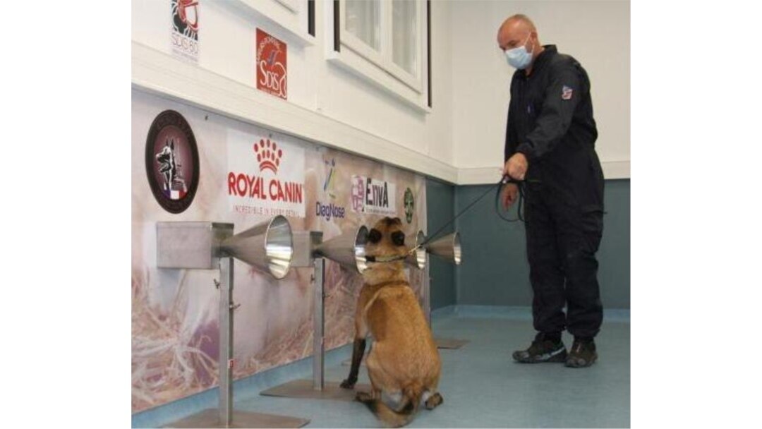 The National Veterinary School of Alfort in France is among the global institutions doing research on dogs' ability to detect COVID-19. (Courtesy of veterinary professor Dominique Grandjean)