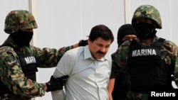 Joaquin "El Chapo" Guzman dikawal ke sebuah helikopter di Mexico City, Mexico, Sabtu (22/2). (Reuters/Henry Romero)