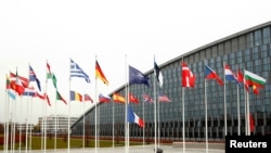 Zastave zemalja članica NATO, ispred sedišta Alijanse u Briselu, Belgija, 26. novembra 2019.