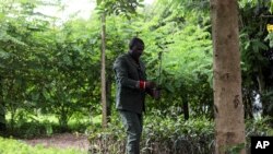 FILE - Enock Twagirayesu, team leader of Nakivale Green Environment Association, checks a sapling during his visit at Kakoma Central Nursery in Nakivale Refugee Settlement in Mbarara, Uganda, on December 5, 2023