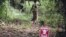 FILE - A woman enters a forest area along a path that has been cleared of landmines, in Orientale Province in the Democratic Republic of Congo. 