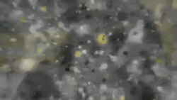 بي بي شیرینه – وي او اې ډيوه په ټیلې ویژن