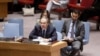Special Representative and head of the UN Support Mission in Libya (UNSMIL), Tarek Mitri, addresses the Security Council in New York, June 18, 2013.