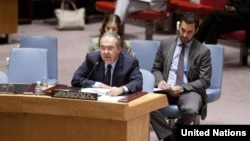 Special Representative and head of the UN Support Mission in Libya (UNSMIL), Tarek Mitri, addresses the Security Council in New York, June 18, 2013.