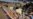 First food aid in months reaches war-wracked Darfur