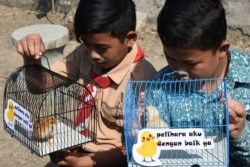 Dua murid sedang melihat peliharaan ayam yang diberikan sebagai bagian program mengurangi ketergantungan gawai pada anak di Bandung, Jawa Barat, 21 November 2019. (Foto: AFP)