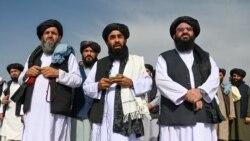طالبان ترجمان ذبیح اللہ مجاہد کابل ایئرپورٹ پر میڈیا سے گفتگو کر رہے ہیں۔