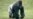 Ebola Also Devastates Wild Ape Population
