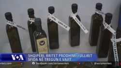 Shqipëria rrit prodhimin  e ullirit por me sfida tregu i vajit