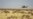 G5 Sahel Joint Military Force to Tackle Terrorism