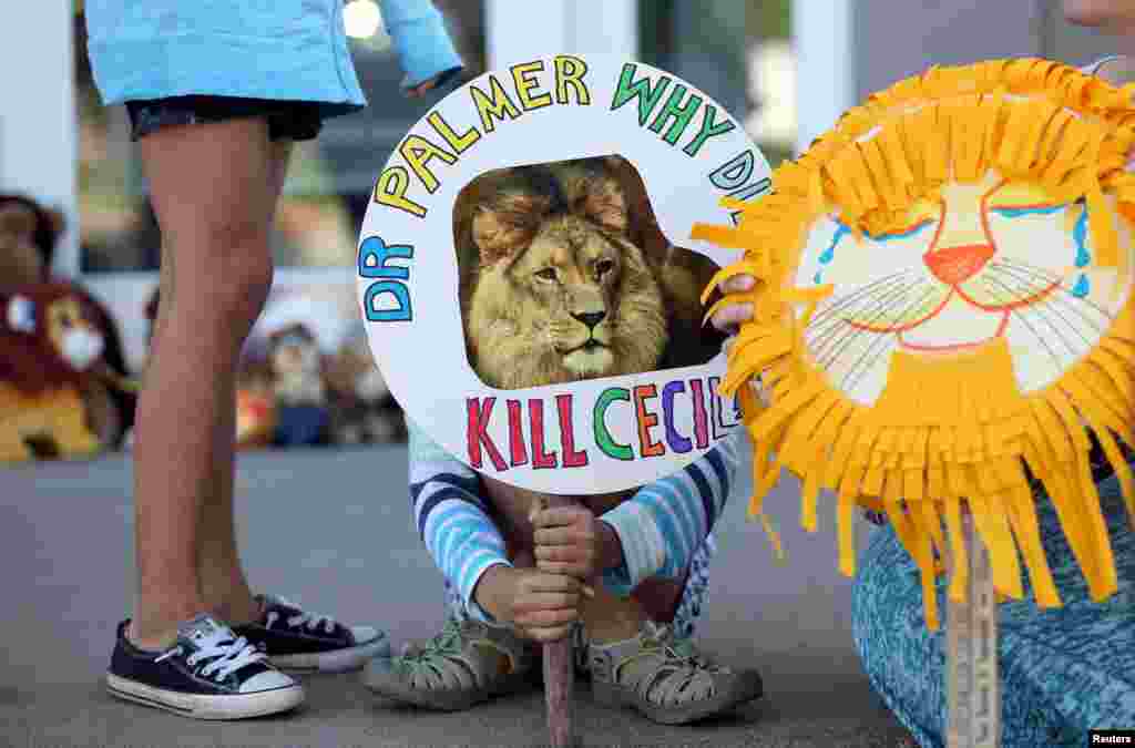 Piper Hoppe, 10, from Minnetonka, Minnesota, holds a sign at the doorway of River Bluff Dental clinic in protest against the killing of a famous lion in Zimbabwe, in Bloomington, Minnesota, July 29, 2015. A Zimbabwean court charged a professional local hunter Theo Bronkhorst with failing to prevent an American from unlawfully killing &#39;Cecil&#39;, the southern African country&#39;s best-known lion. The American, Walter James Palmer, a Minnesota dentist who paid $50,000 to kill the lion, has left Zimbabwe.