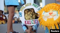 Piper Hoppe, 10, dari Minnetonka, Minnesota, memegang poster di pintu masuk klinik gigi River Bluff memprotes pembunuhan seekor singa populer di Zimbabwe, di Bloomington, Minnesota 29 Juli 2015.