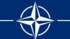 Експерти: європейські країни НАТО мусять збільшити витрати на оборону