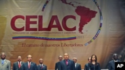 Leaders stand during the opening session of the summit of the 33-member Community of Latin American and Caribbean States [CELAC] hosted by Venezuelan President Hugo Chavez (C), in Caracas, Venezuela, December 2, 2011.