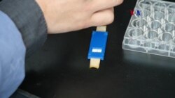 Levadura como detector de patógenos