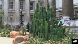 South Africa landscape exhibit at The British Museum