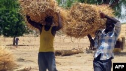 Nigerians of Cameroonian origin carry straw bales to build houses in a village of Tallamallabrahim, northern Cameroon, May 27, 2013, where they settled after fleeing Nigeria to escape massacres by the Islamic group Boko Haram.