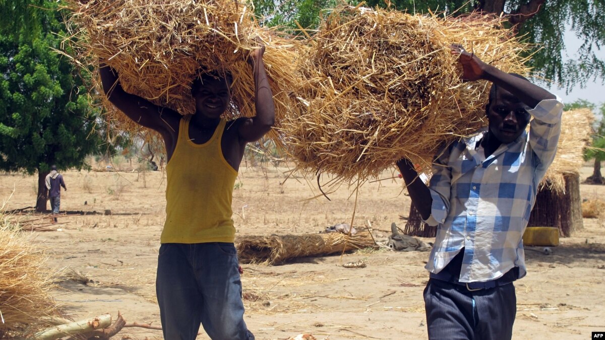 Nigerian Refugee Exodus Spreading To Cameroon 3730