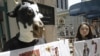 Các nhà hoạt động Hàn Quốc lại biểu tình chống nhập khẩu thịt bò Mỹ