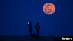 Seorang pria mengambil foto saat gerhana bulan di pinggir kota Shanghai, April 2014. 