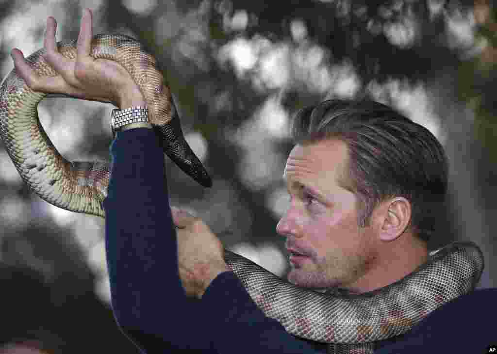 Actor Alexander Skarsgard, who plays Tarzan in The Legend of Tarzan poses for photos with a python at Wildlife Sydney Zoo in Sydney, Australia. Skarsgard is in Sydney to promote his film which opens in the country on July 7, 2016.